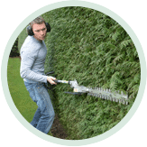 Hedge Trimming Service