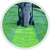 Lawn Mowing Service