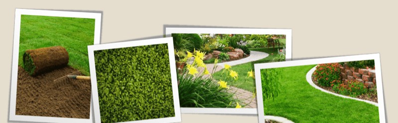 Kodiak lawncare service provider